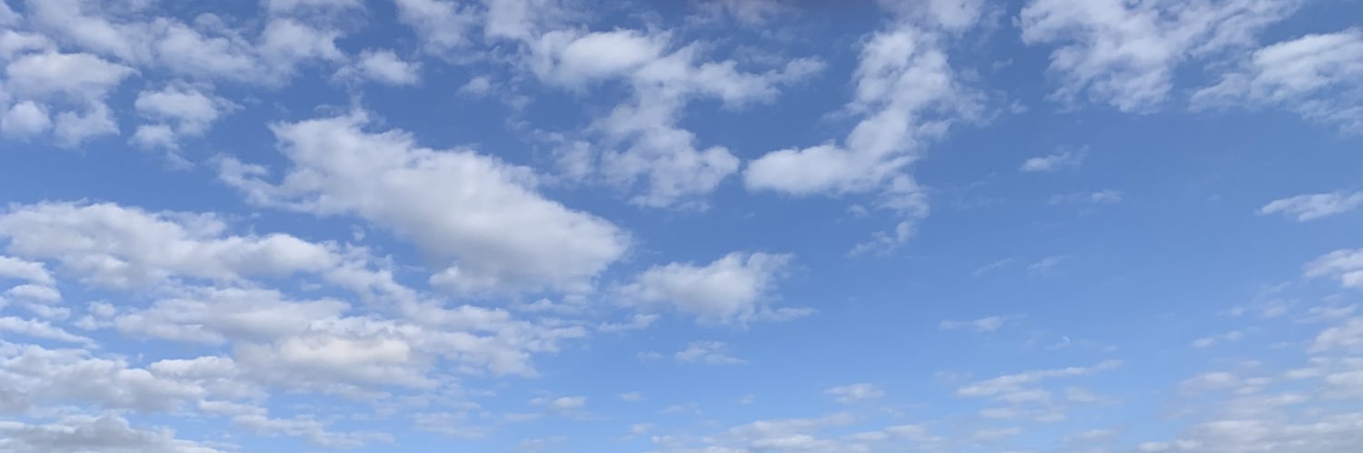 NITATCHI's profile banner image