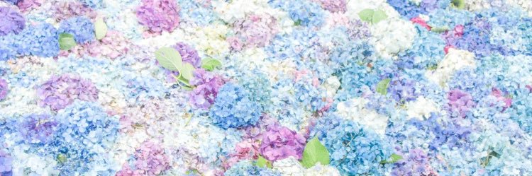 mamesibarin's profile banner image