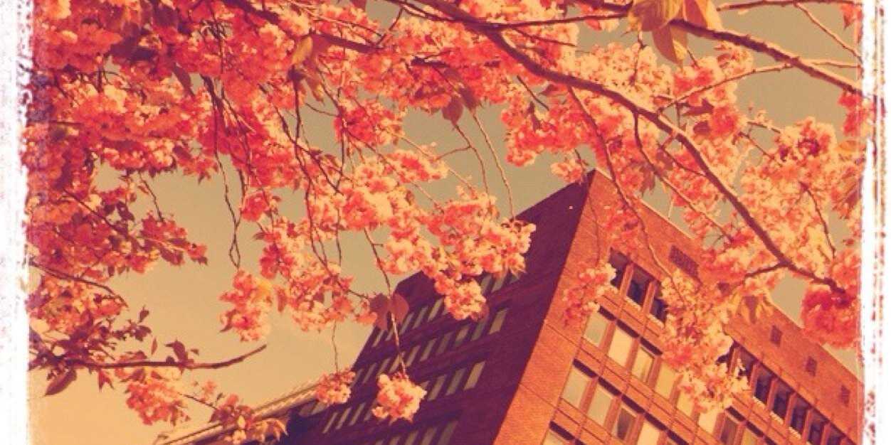 Marthe Brøndbo banner