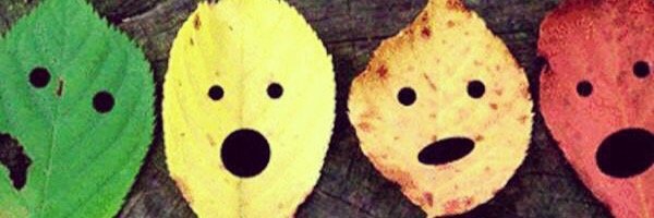 ebrusu24's profile banner image