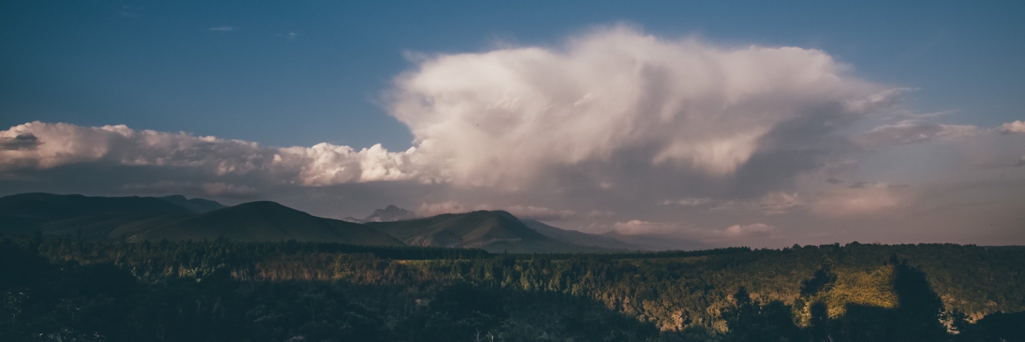 Natalian 🆓 banner