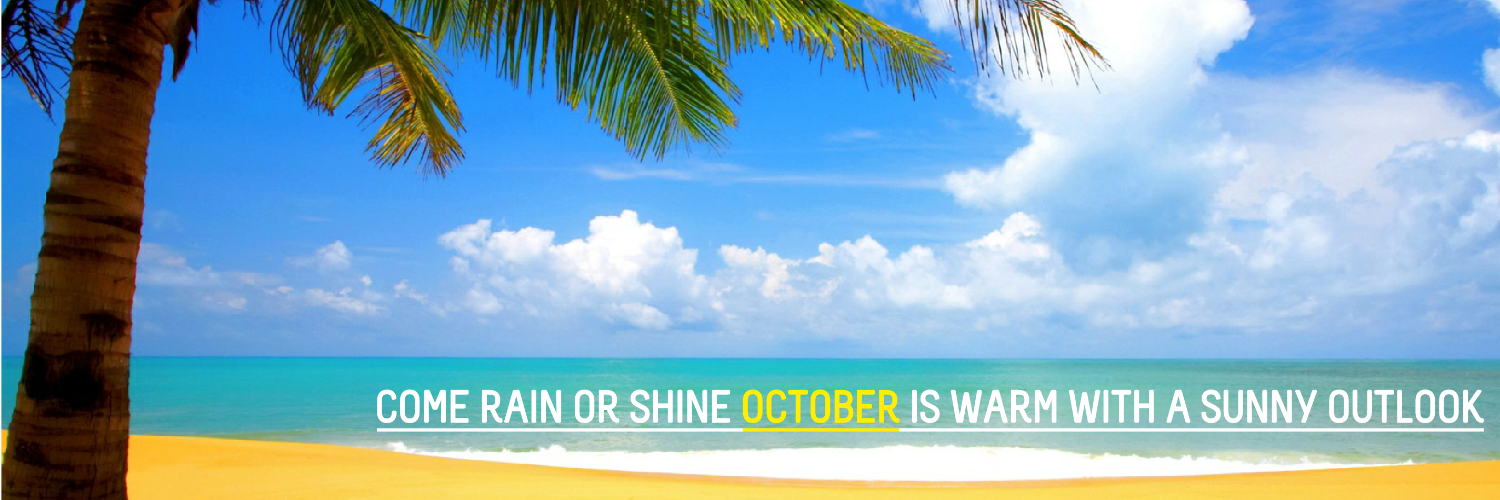 OctoberJobs's profile banner image
