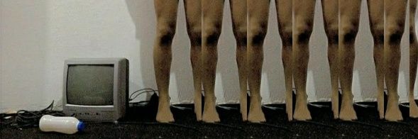 damas☭🌱🏳️‍🌈 banner