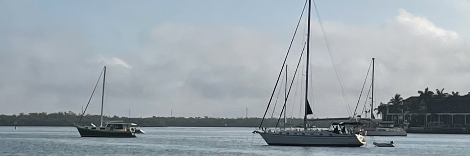 LaineyEC's profile banner image