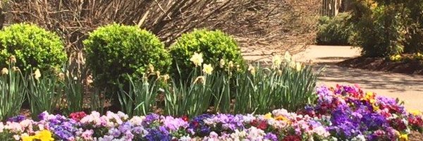 SScurlock_WREG3 Profile Banner