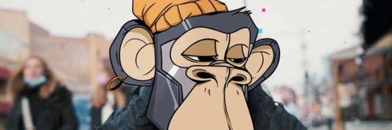 stevnbasem's profile banner image