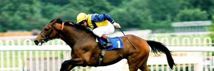 NeilGraham5's profile banner image
