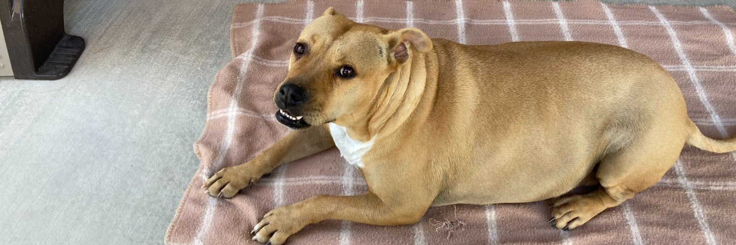 Marty Resetar banner