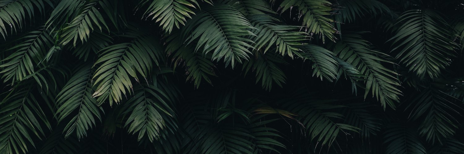 galshahar's profile banner image