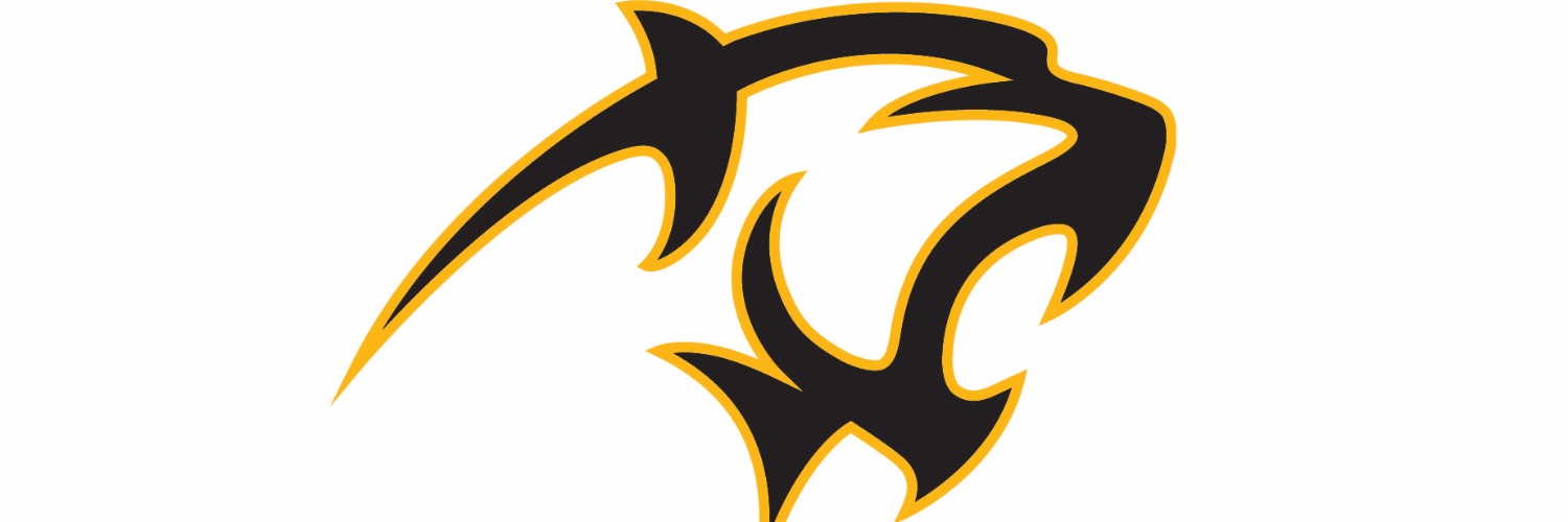 Adelphi Women’s Basketball banner