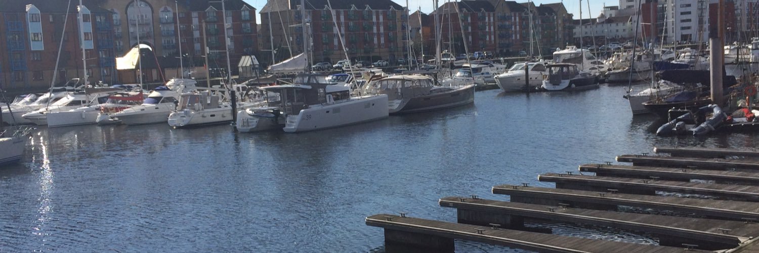 amy sophia treharne banner