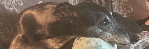 borowatty Profile Banner