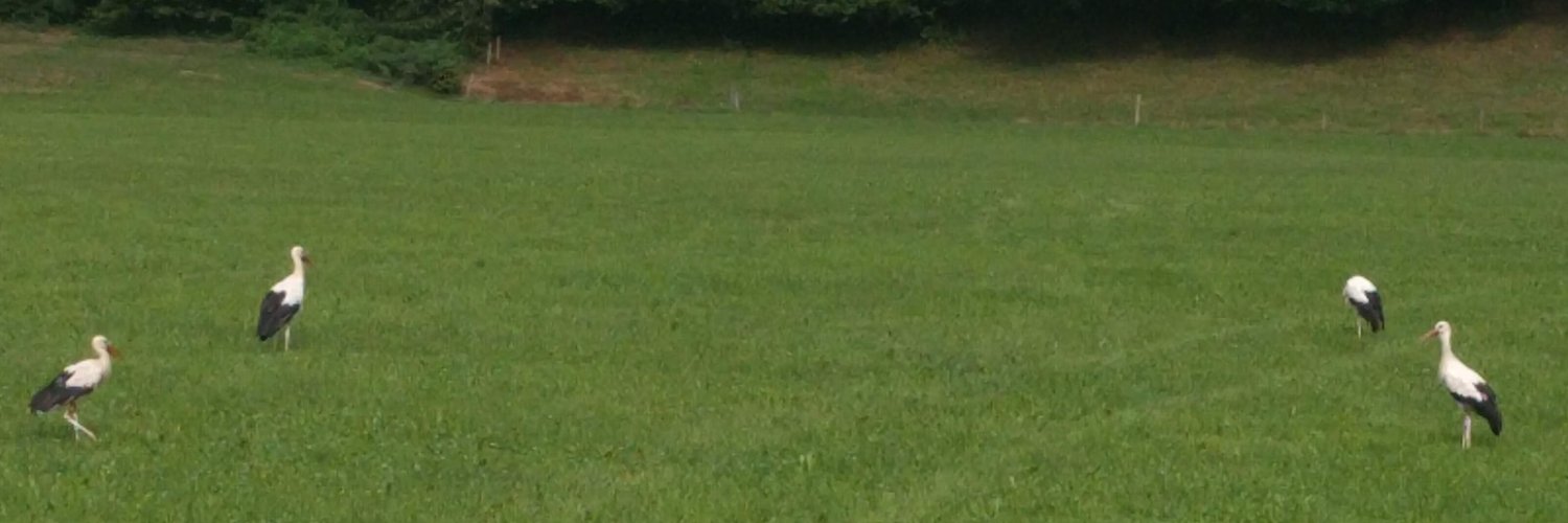 random_dreck's profile banner image