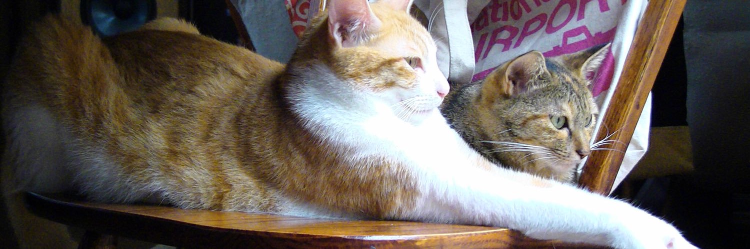 EricTheCat9's profile banner image