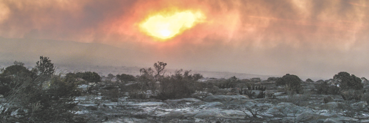 CalloutMusic's profile banner image