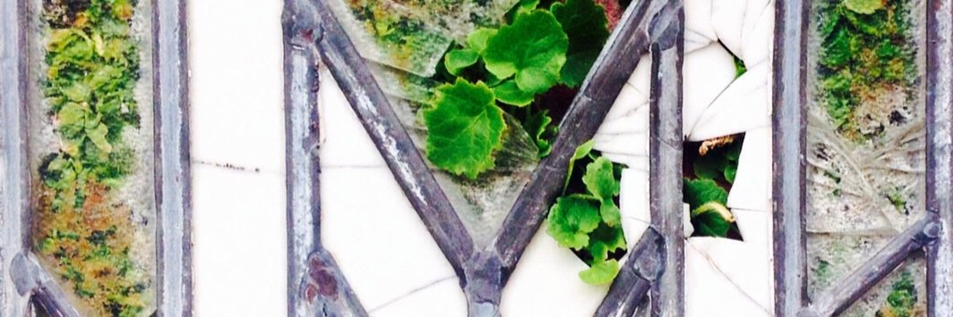 libby hamilton banner