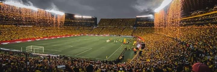 Xavier Freire banner