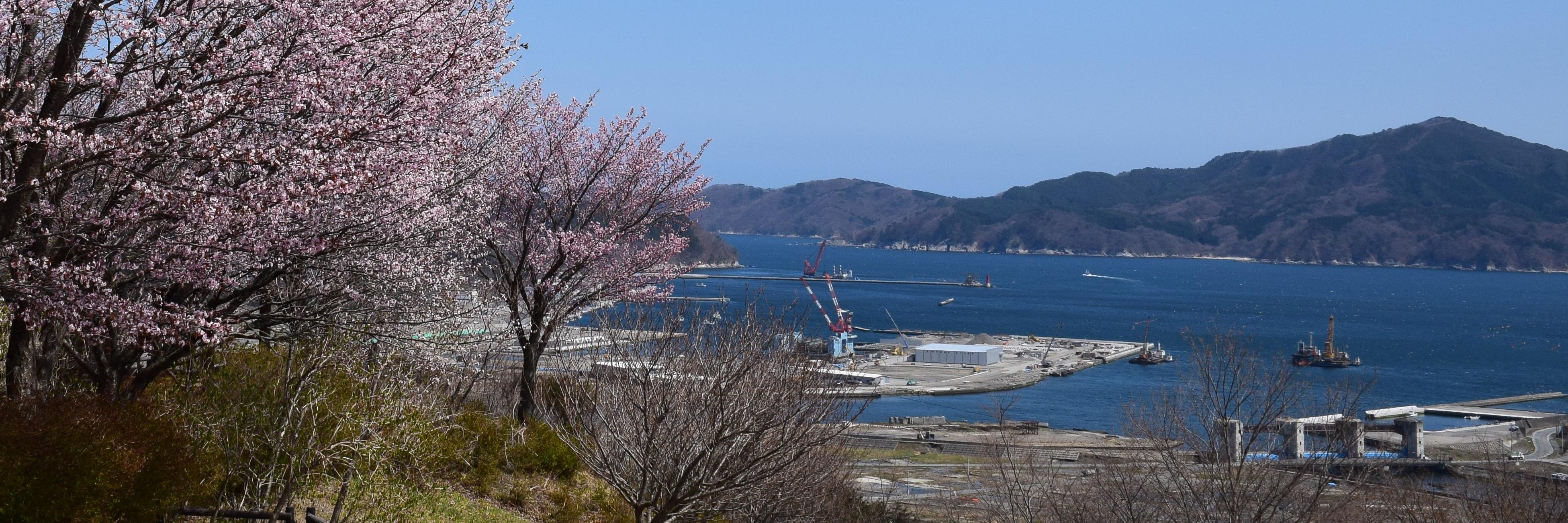 がんばろう！大槌町〔皆様からの御支援に感謝〕 banner