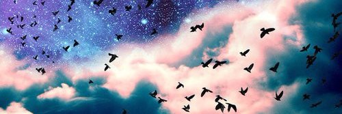 Galvao_Simone's profile banner image