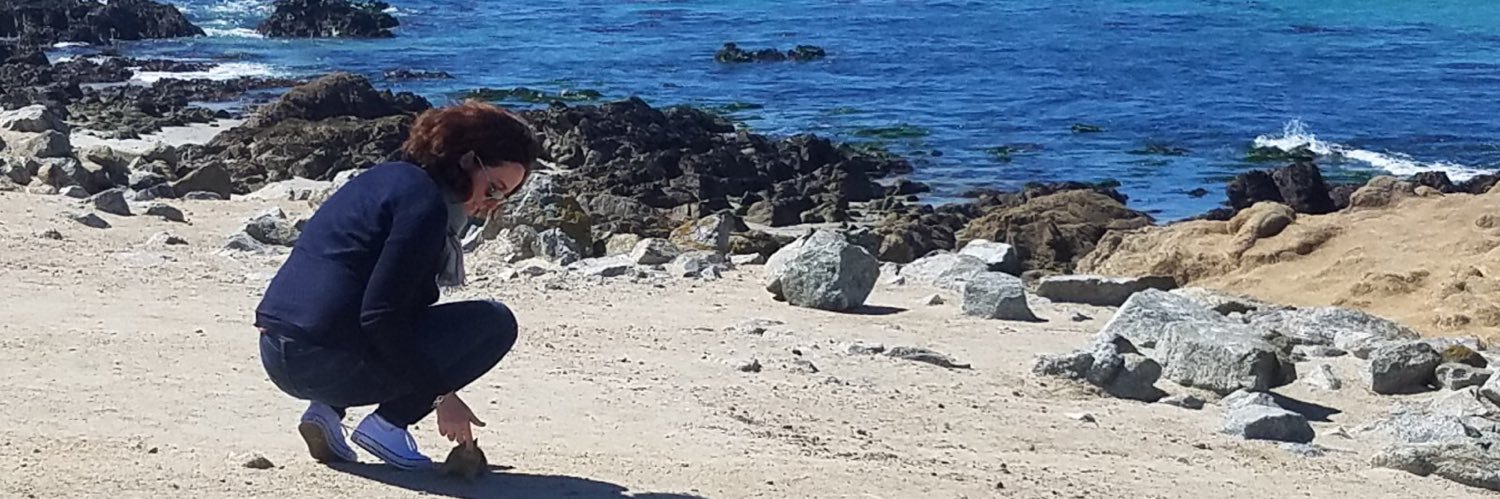 Florence Chapeland-Leclerc 🇪🇺🇫🇷🇺🇦🇮🇷✊🏻 banner