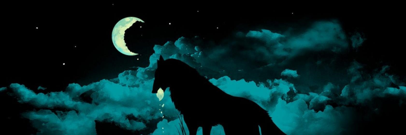 JackArdon's profile banner image