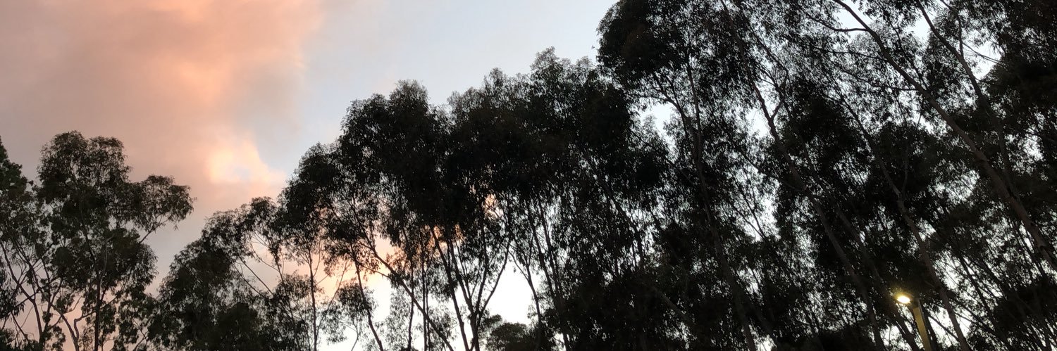 mateoantonio_'s profile banner image