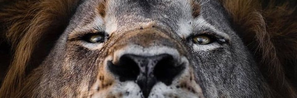 ETRKN's profile banner image