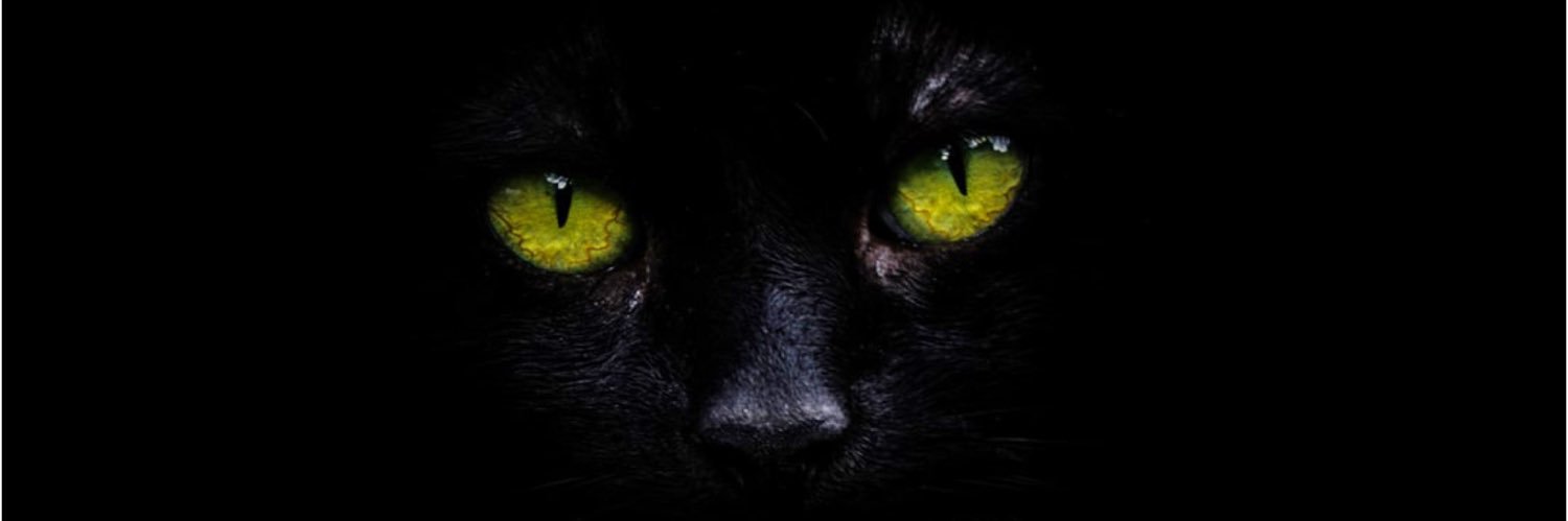 LoveIt0221's profile banner image