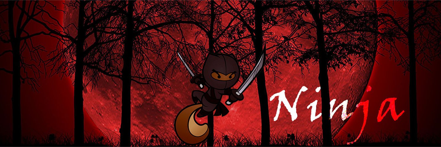 Ninjasqrl23's profile banner image