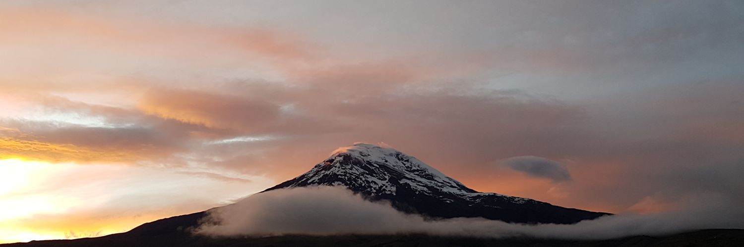 cat47lamb's profile banner image