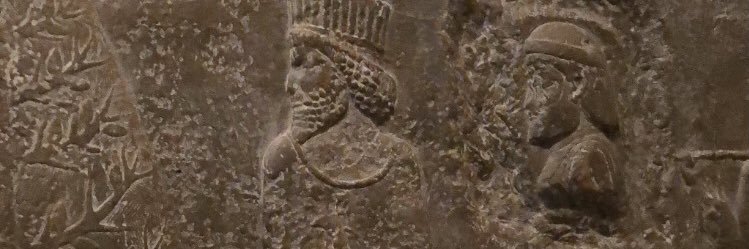 AhlamThehuman's profile banner image