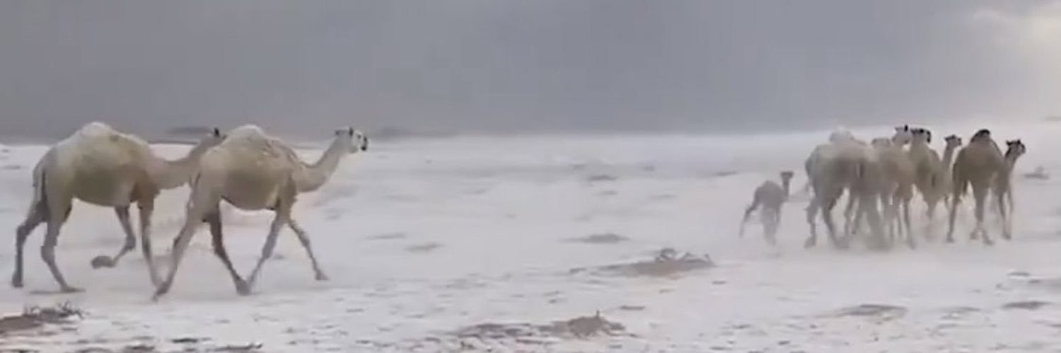 سالم الثنيان banner