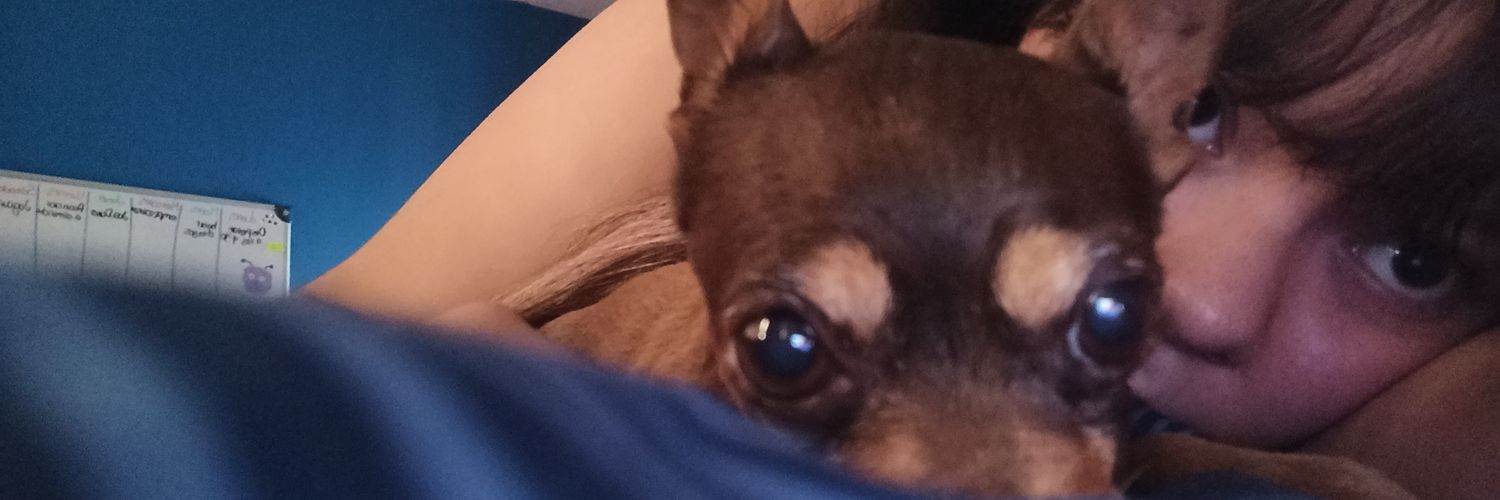 Danieve00's profile banner image