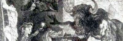 DarioOnim's profile banner image