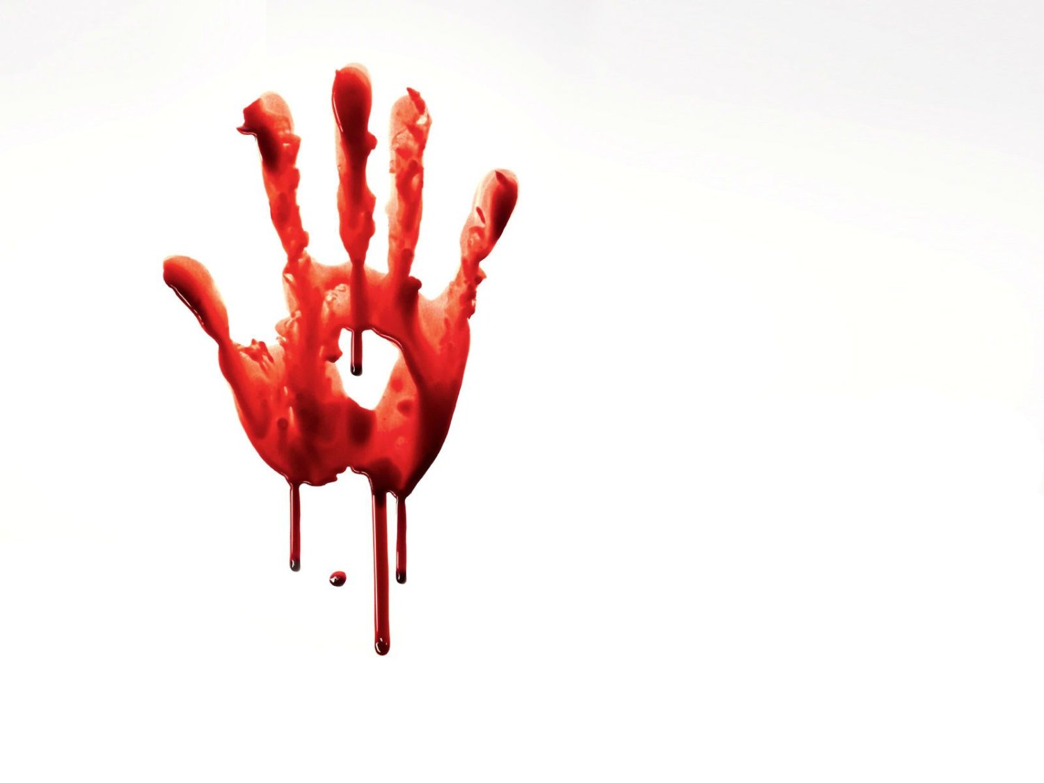 gallardolb44's profile banner image