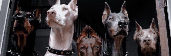 nutspg's profile banner image