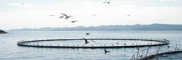 feapinfo Profile Banner