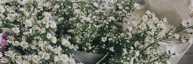 𝓃𝓊𝓃𝓊⋆. 𐙚 ˚🍂🧸✨ banner