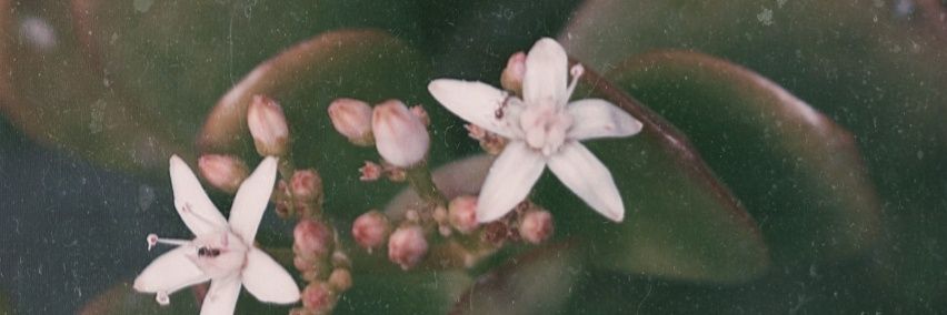 ximenamo7's profile banner image