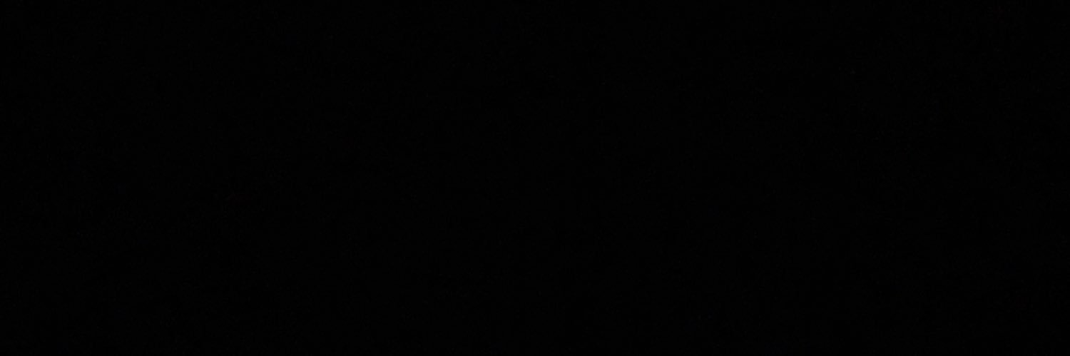 LifeOfTheDon's profile banner image