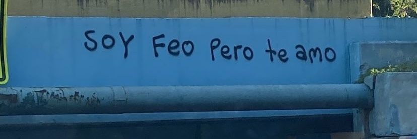 ℂharly •᎑• banner