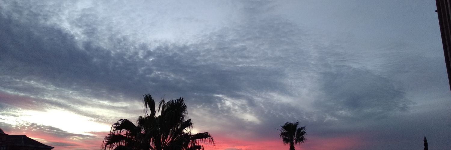 Fazlin Mohamed banner