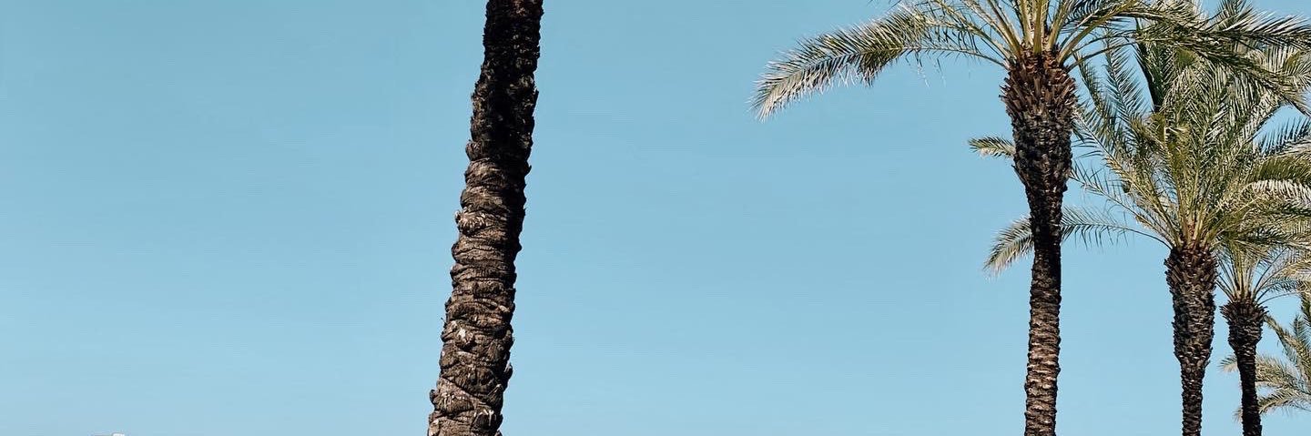 cehughesx's profile banner image