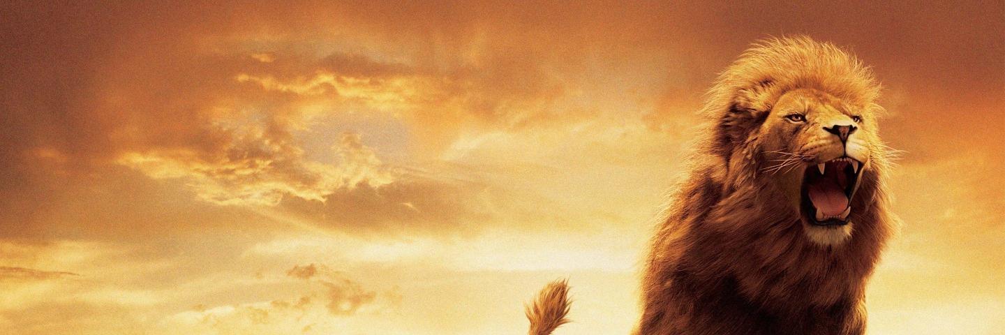fleckiiii's profile banner image