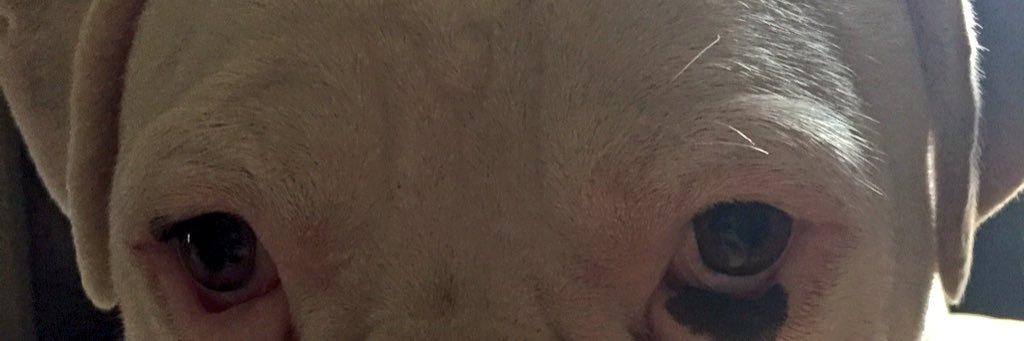 troy513's profile banner image