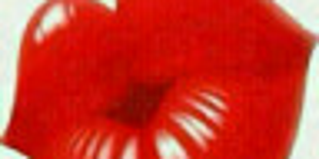 chalini2015's profile banner image