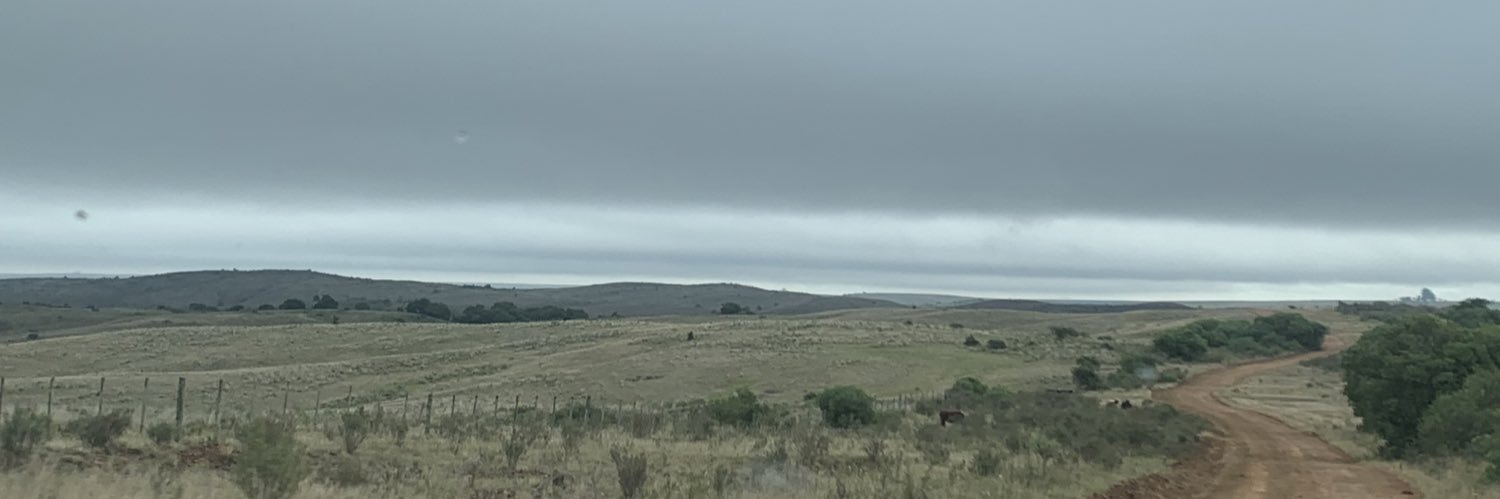 Eugenio Farías banner