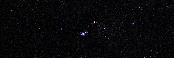 _Leo312 Profile Banner