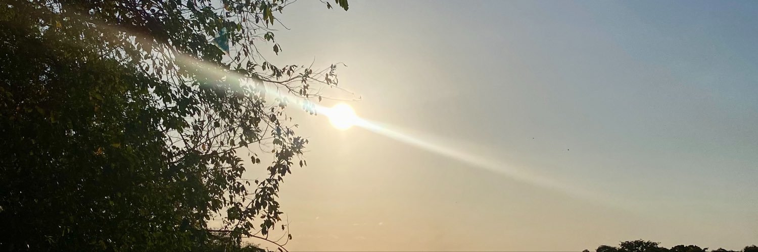 Elissf40's profile banner image