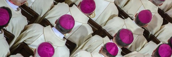EpiskopatNews Profile Banner